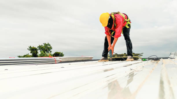 Best Emergency Roof Repair  in Langdon, ND